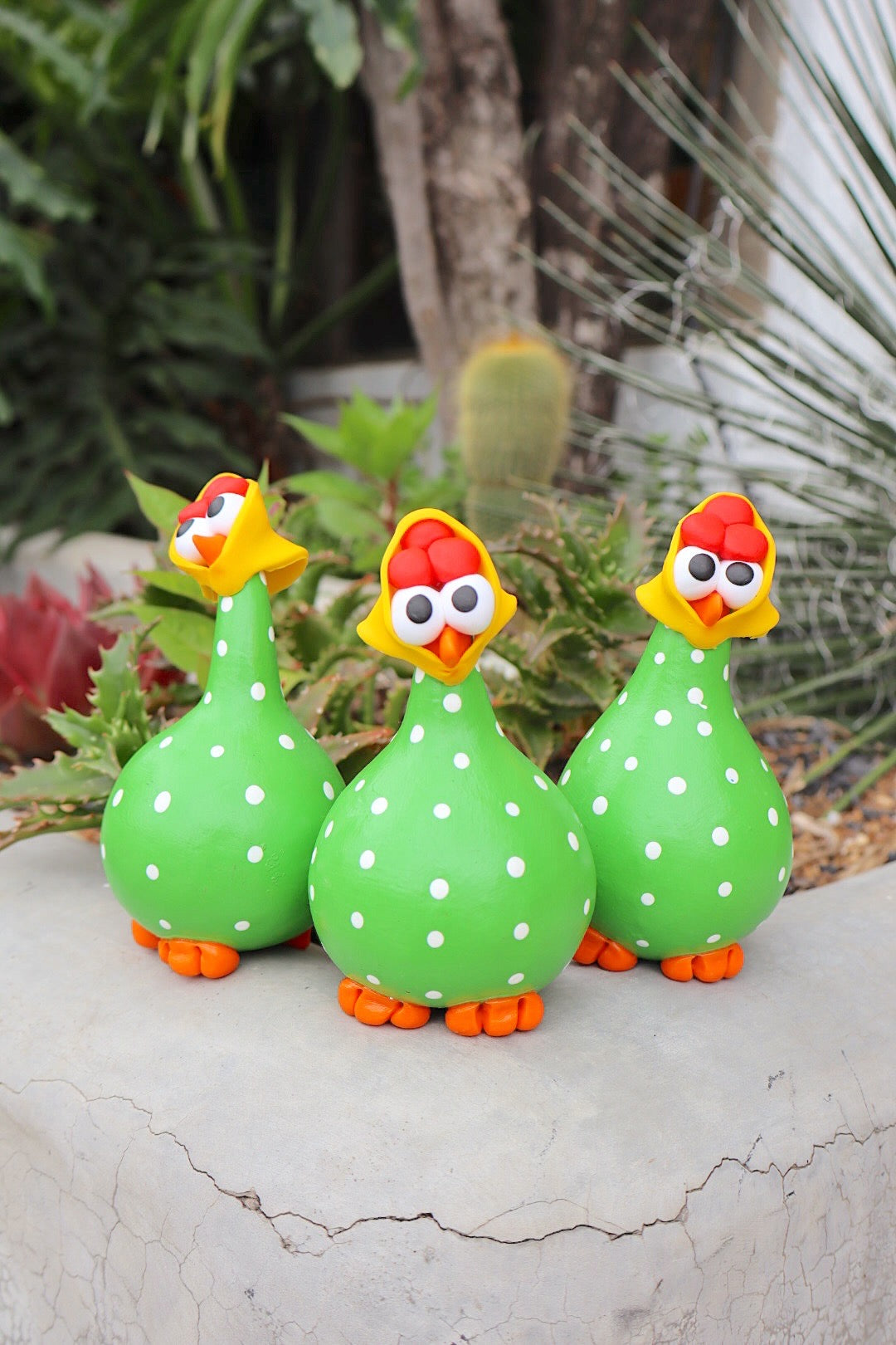 Trio Galinha em Cabaça Verde