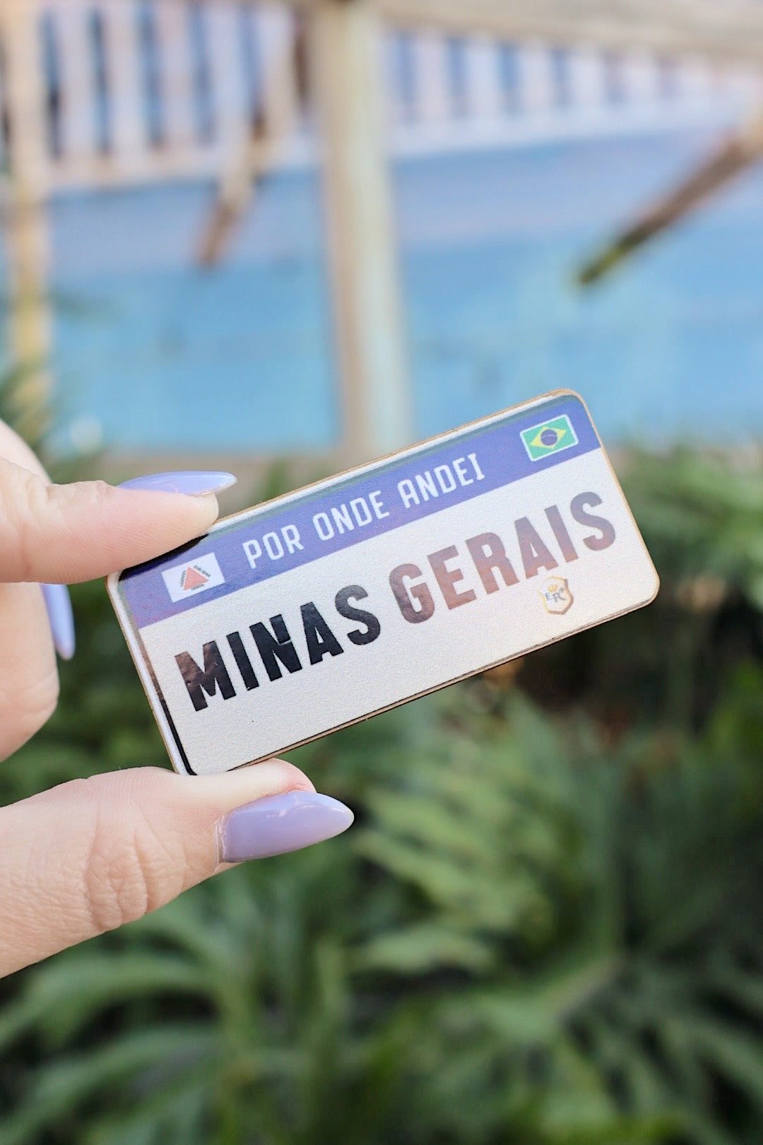 Ímã de Geladeira Placa Mercosul Minas Gerais