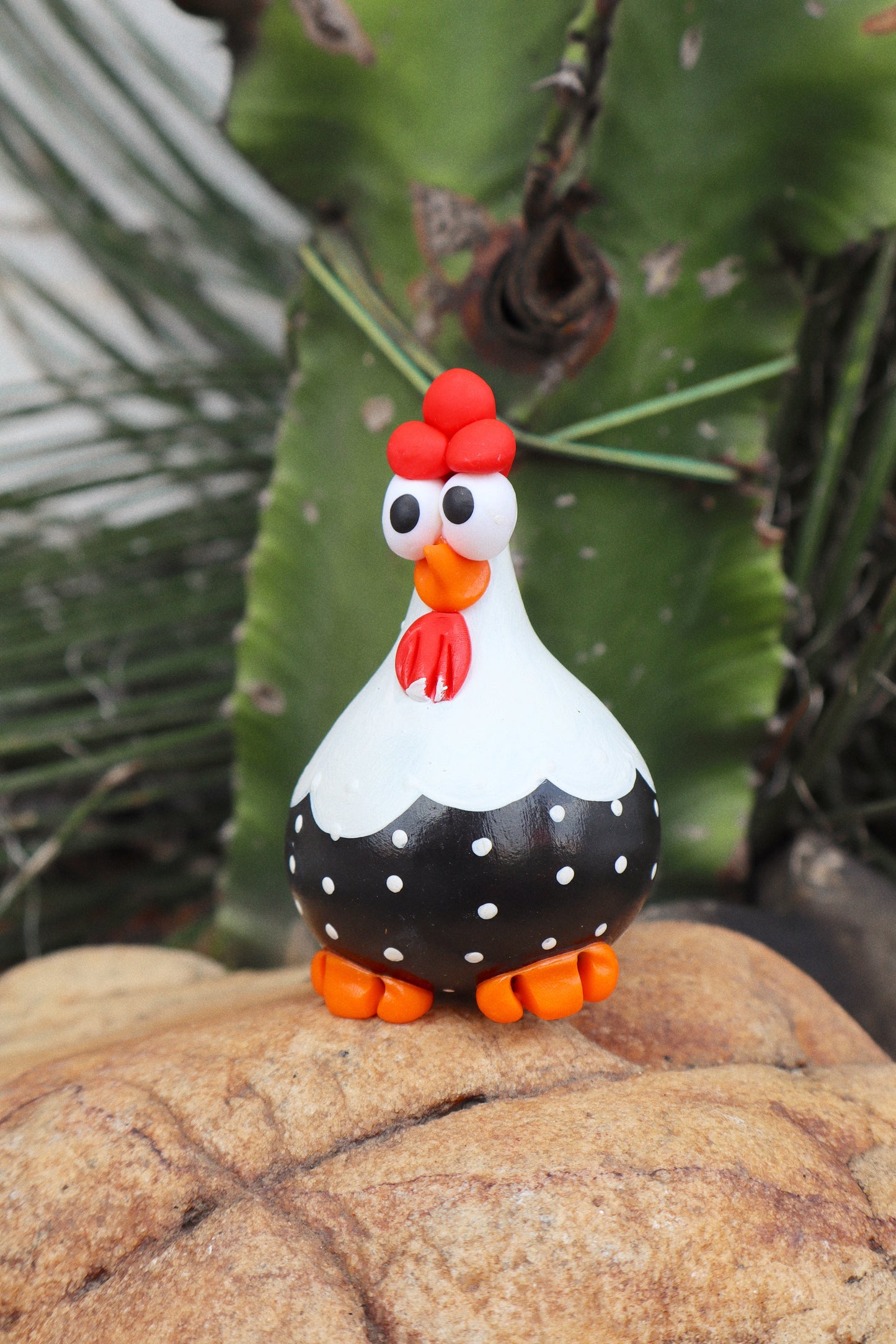 Galinha em Cabaça Preta e Branca Unidade