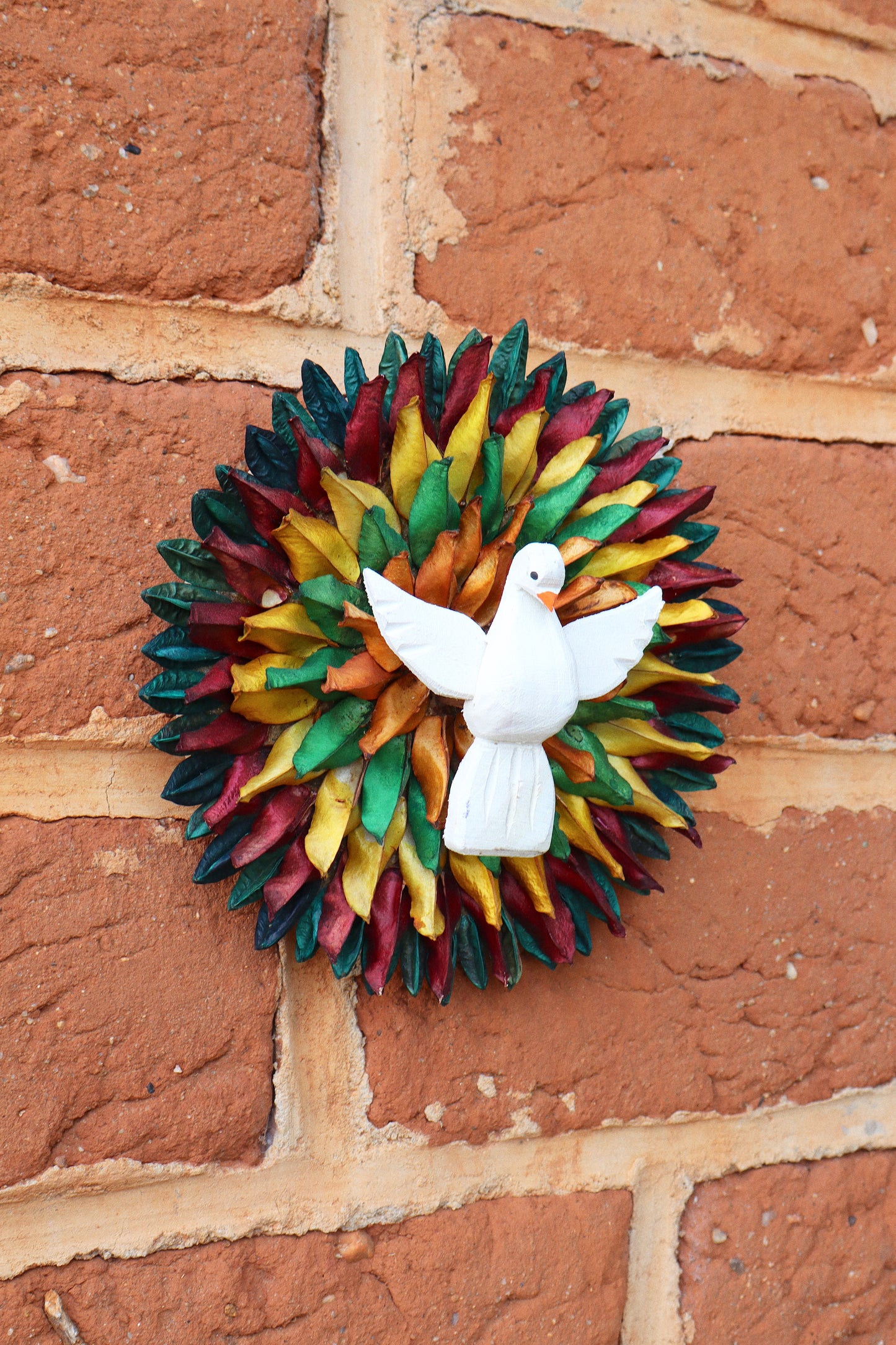 Divino Espírito Santo Semente Colorido G