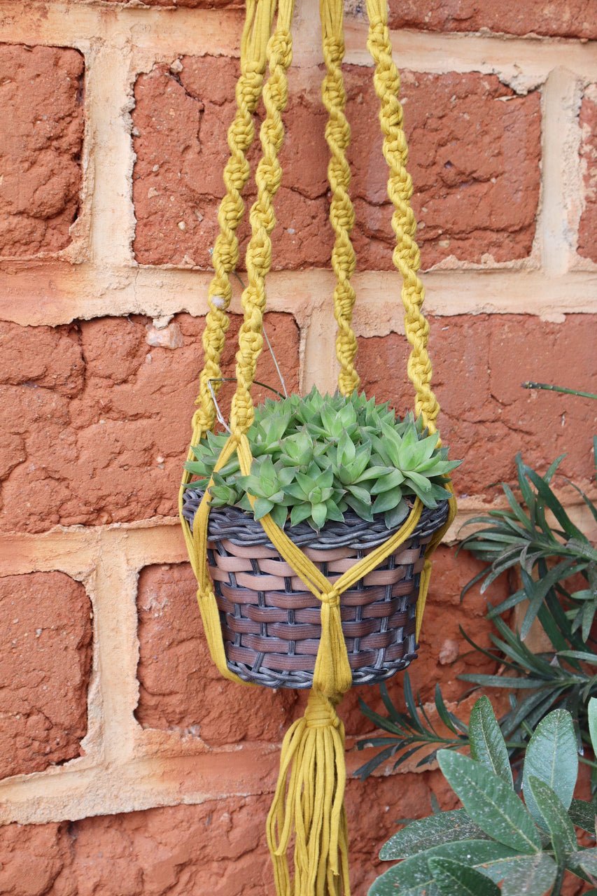 Suporte de Planta em Macramê Malha Um Vaso Mostarda