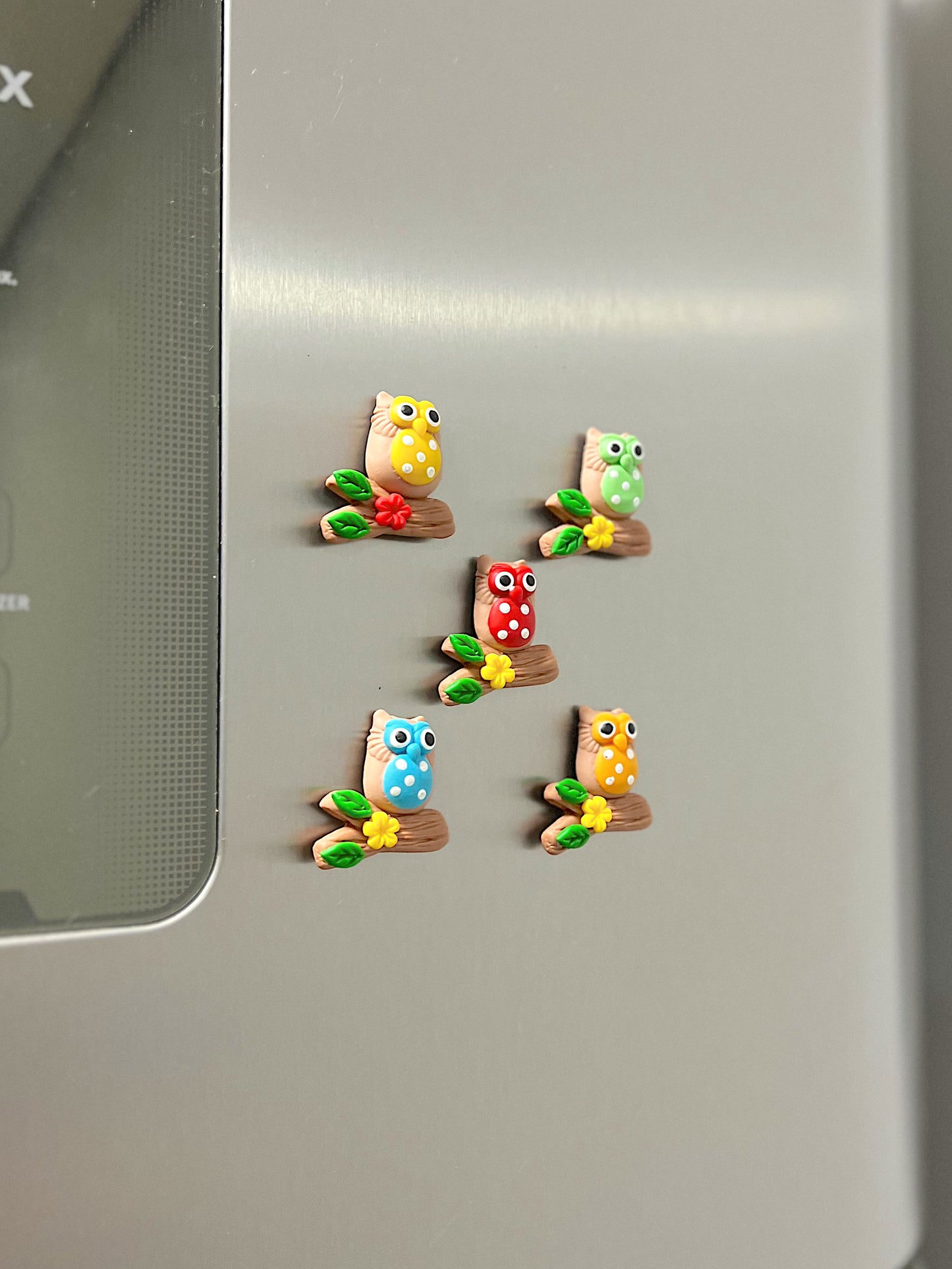 Ímã de Geladeira Coruja Variado