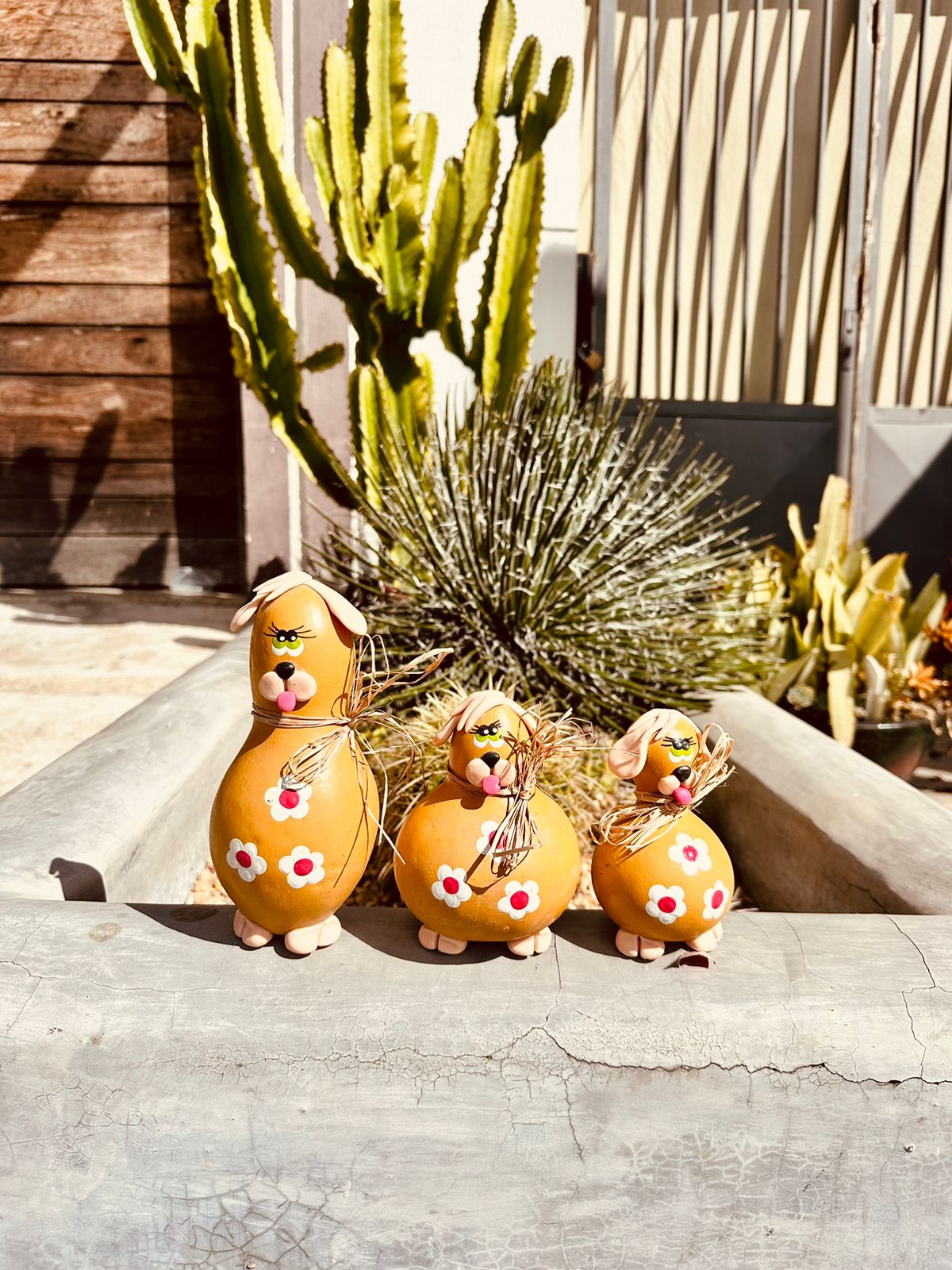 Trio Cachorro em Cabaça Bege