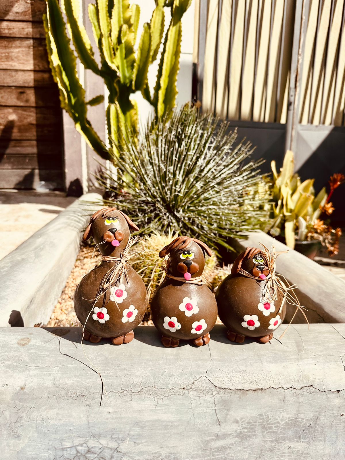 Trio Cachorro em Cabaça Marrom