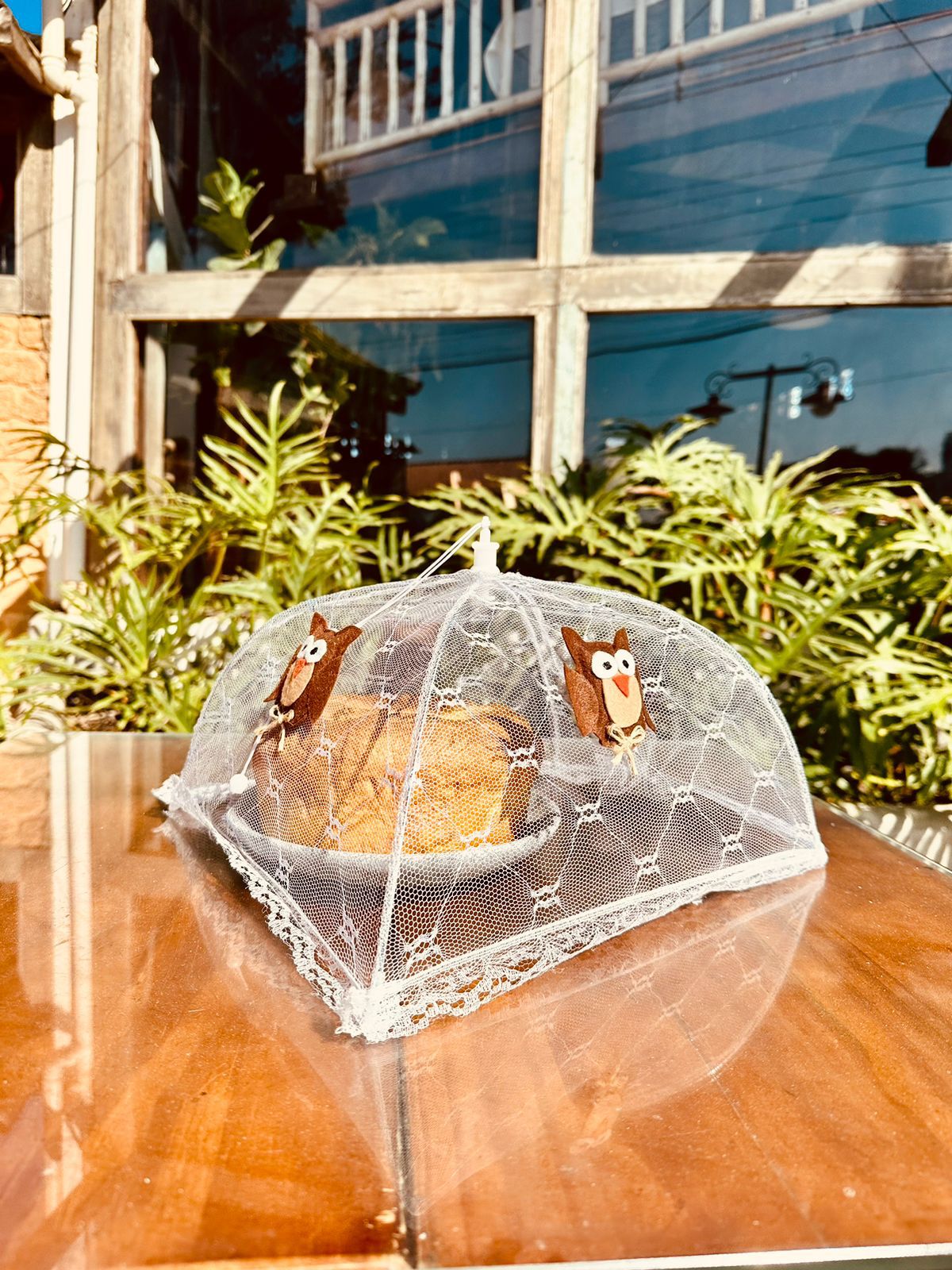 Protetor de Alimentos Guarda-Chuva Tule Aplicado Coruja