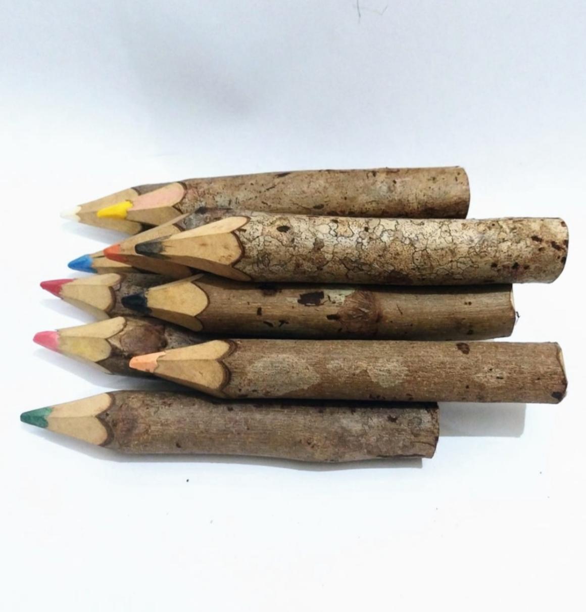 Kit 6 Lápis de Cor em Madeira Rústica