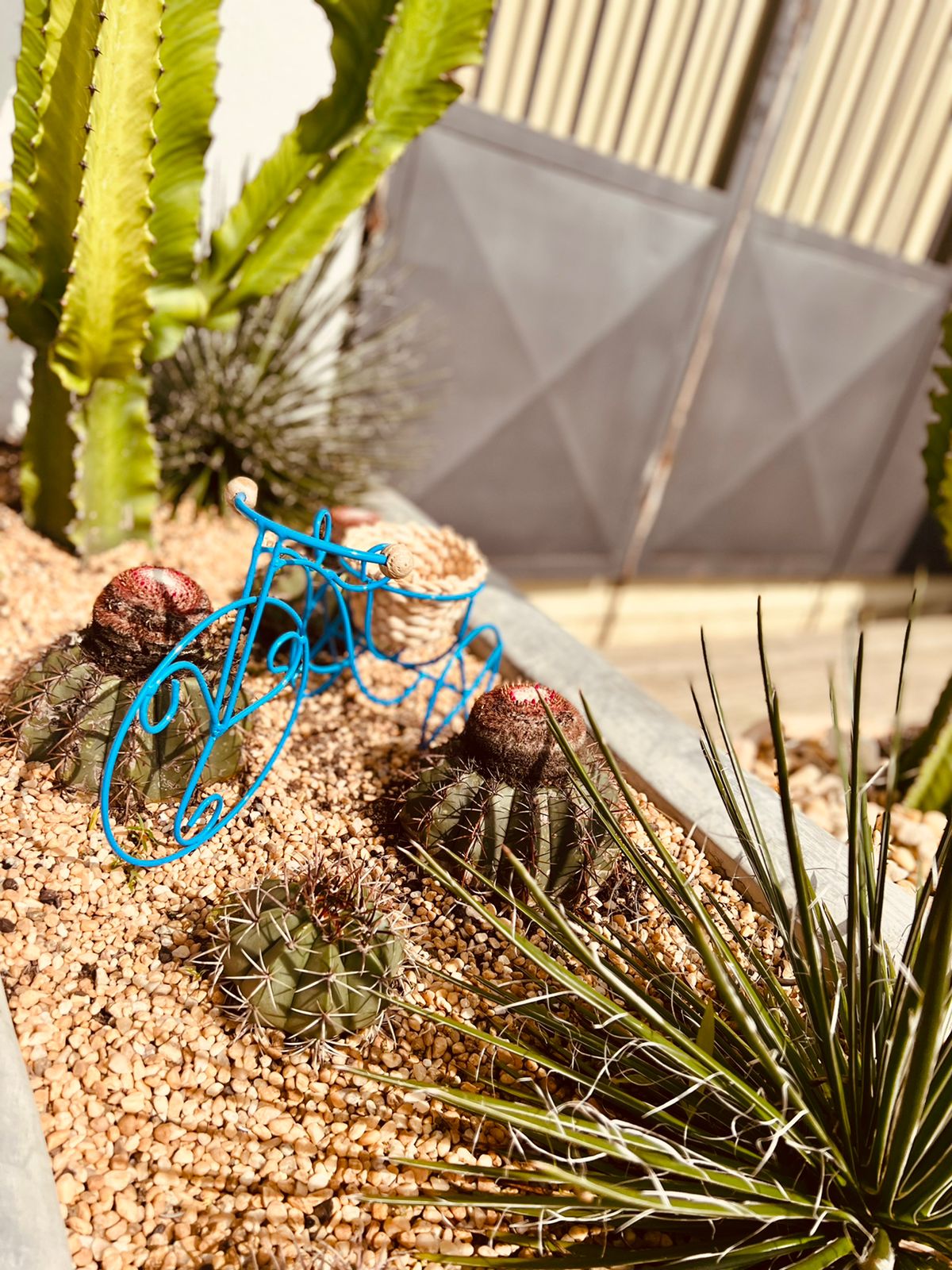 Bicicleta Porta Vaso Rústica Ferro Decorativa PP