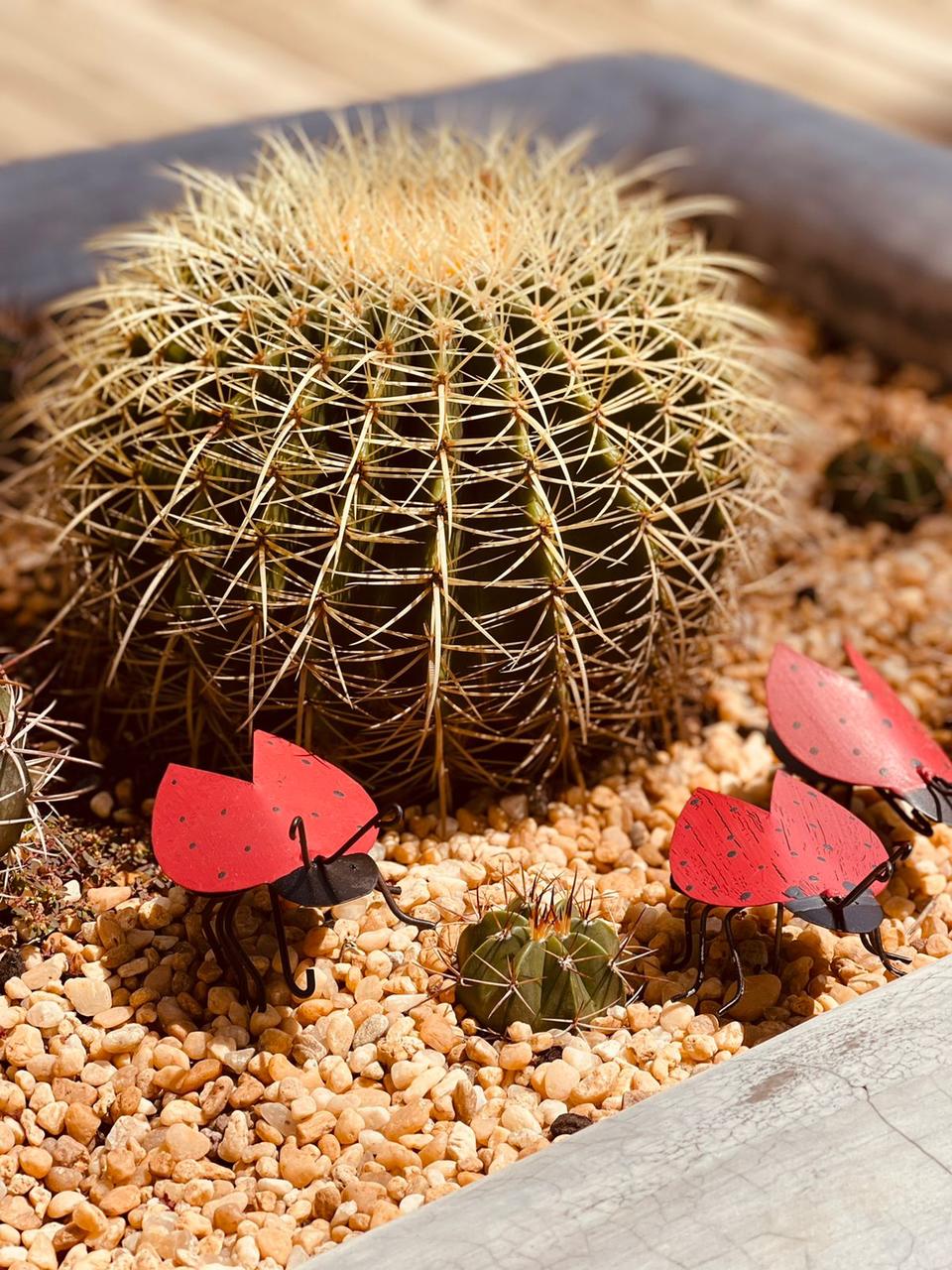 Kit com 3 Joaninhas em Ferro