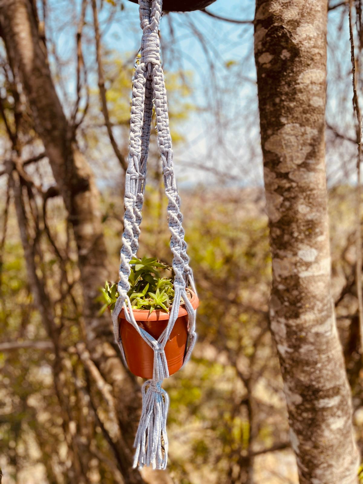 Suporte de Planta em Macramê Malha Um Vaso Cinza
