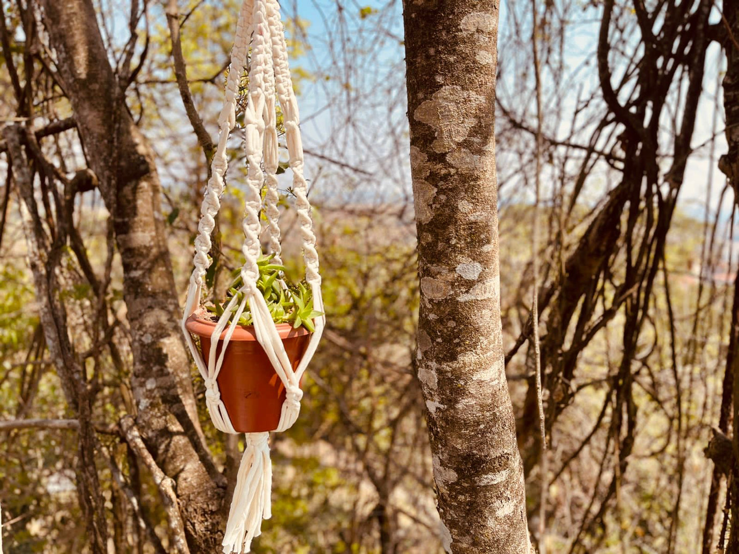Suporte de Planta em Macramê Malha Um Vaso Cru