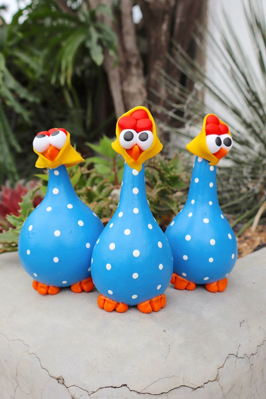 Trio Galinha em Cabaça Azul Poá