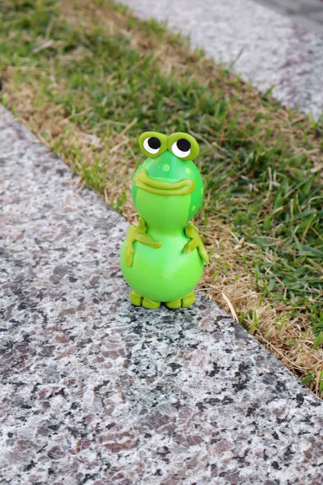 Sapo em Cabaça Unidade