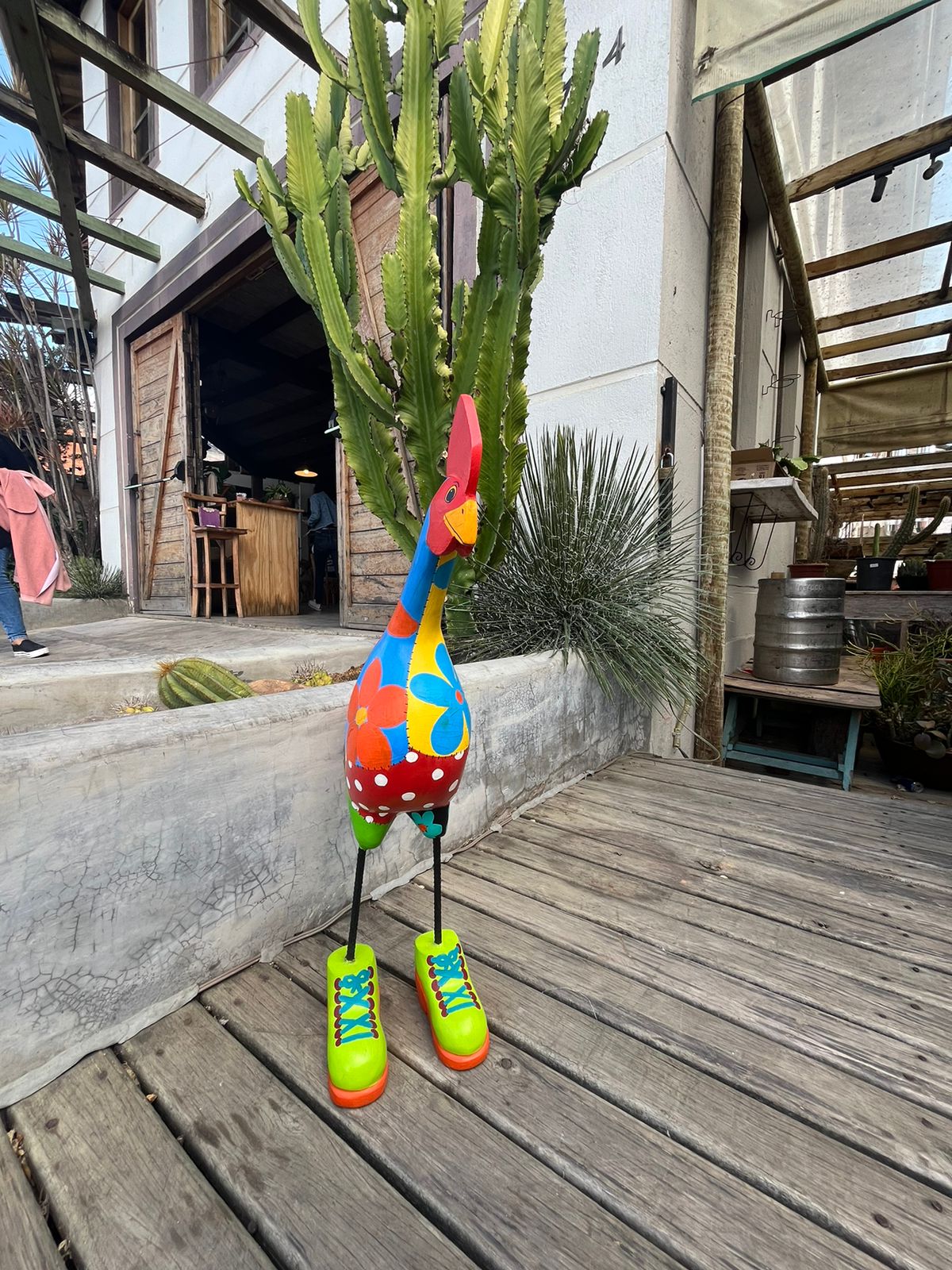 Galinha de Sapatos Verde em Madeira