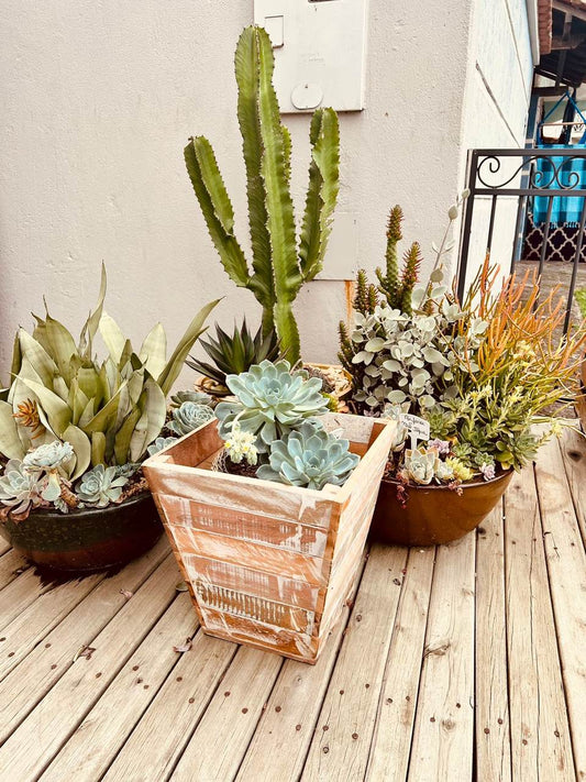 Cachepô em Madeira de Demolição G