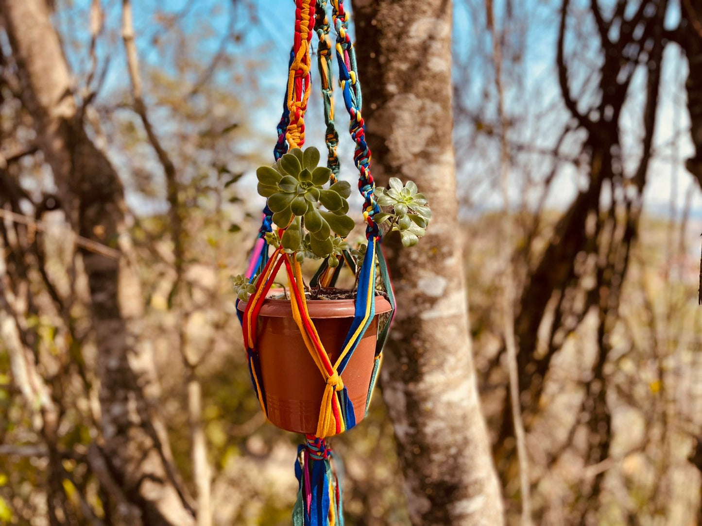 Suporte de Planta em Macramê Malha Um Vaso Colorido