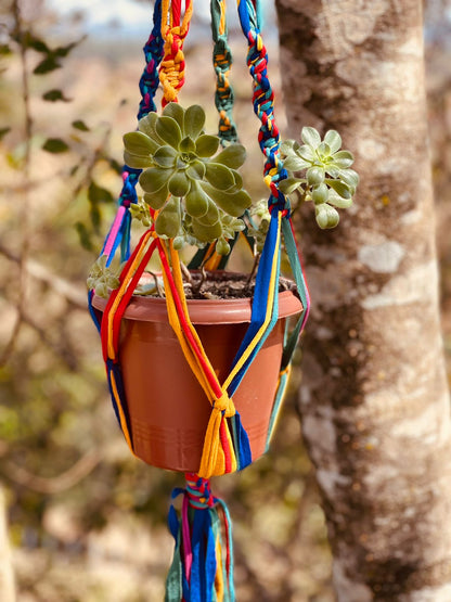 Suporte de Planta em Macramê Malha Um Vaso Colorido