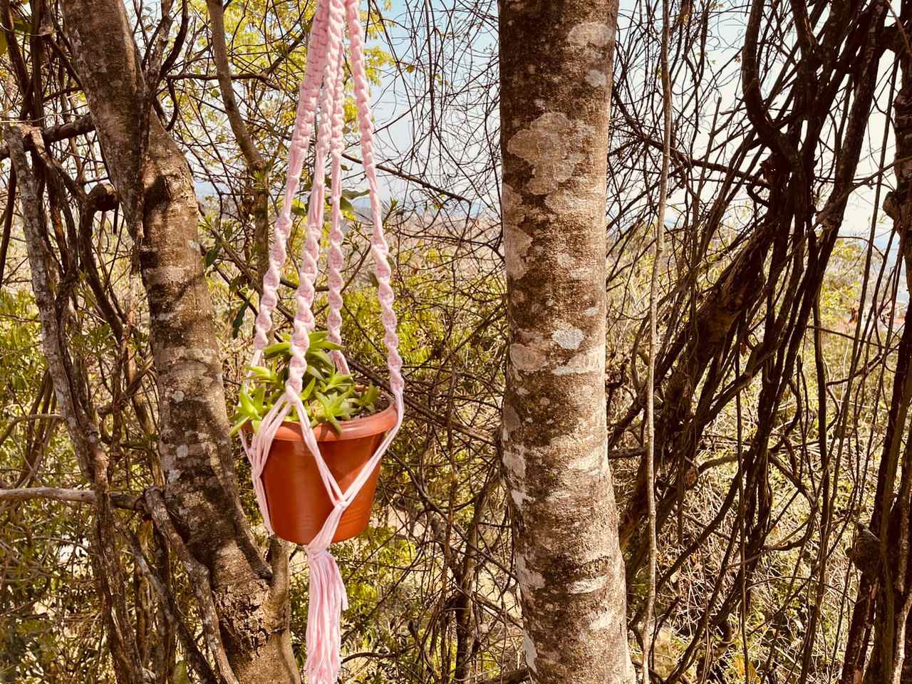 Macramê Malha Um Vaso Rosa