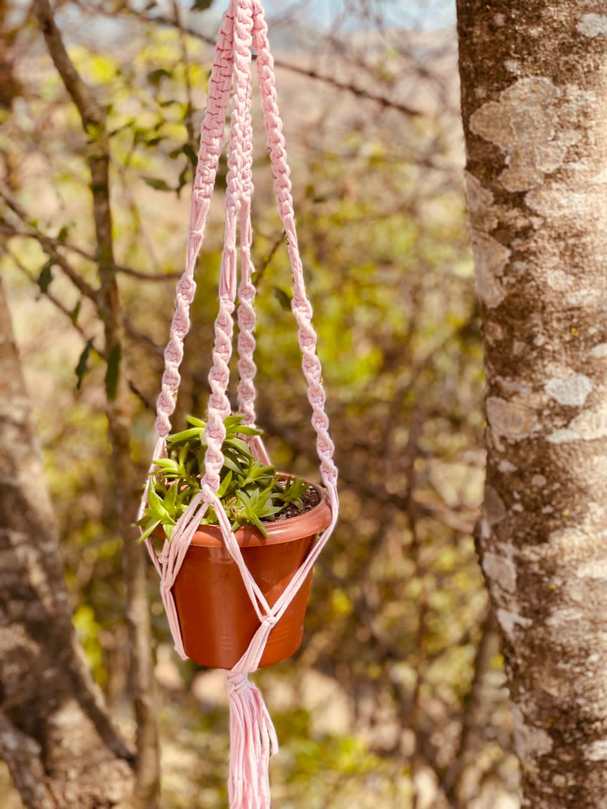 Macramê Malha Um Vaso Rosa