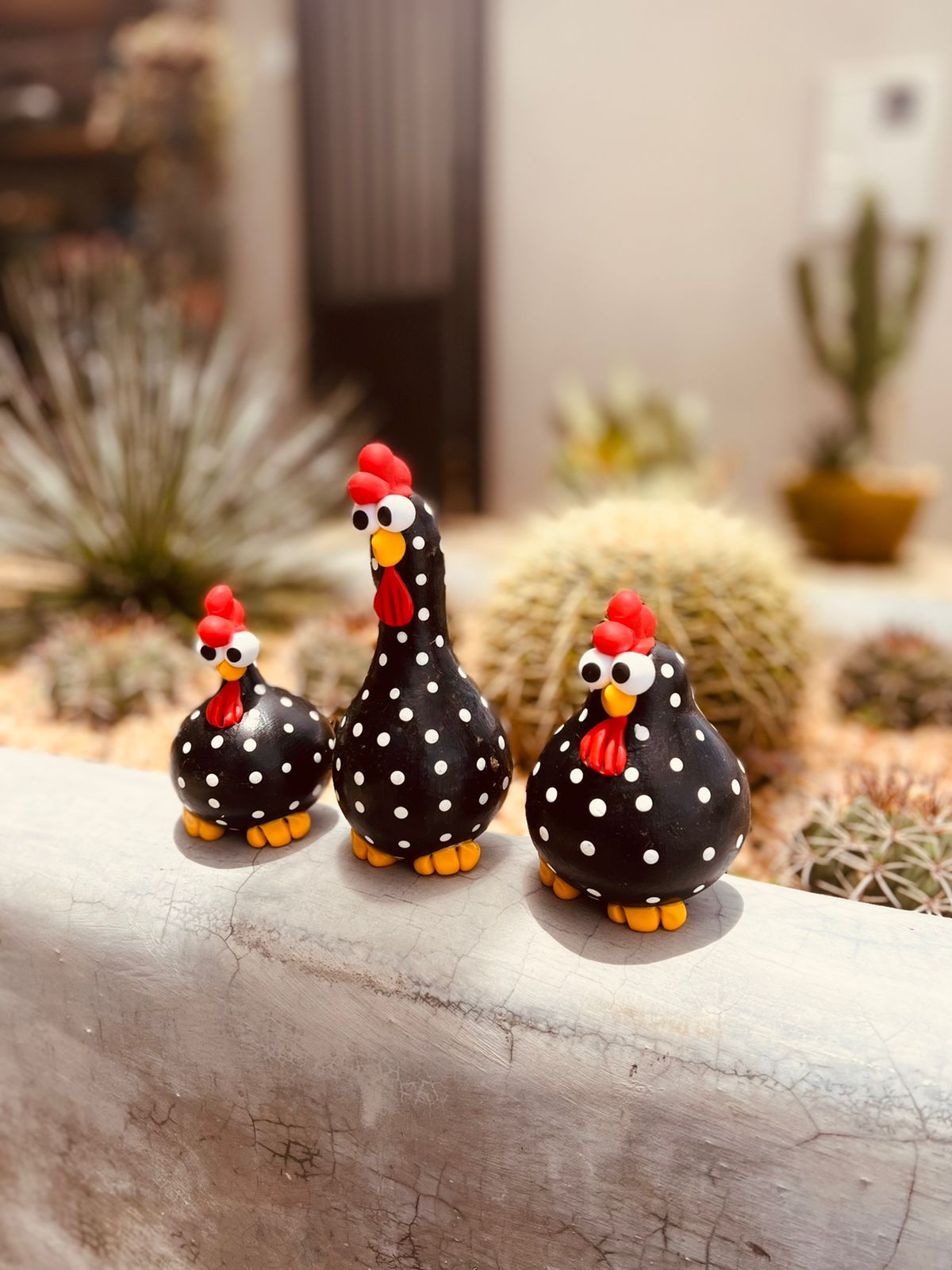 Trio Galinha em Cabaça Preta